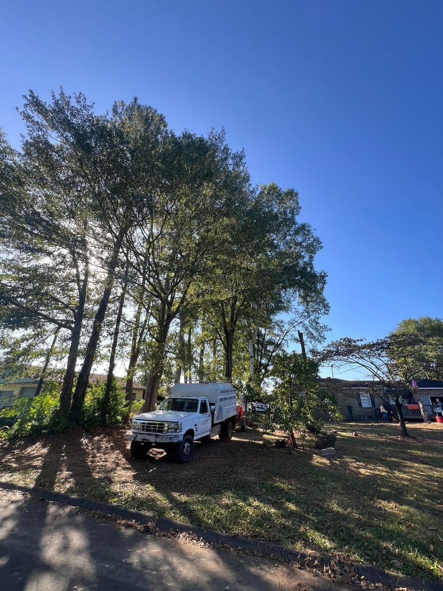 Fall Clean Up for Brooks Tree Service, LLC in Casar, NC