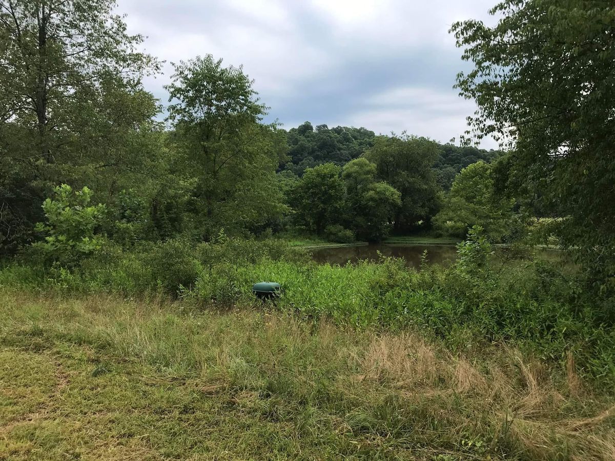 Land Clearing & Demolition for Kidd Excavating LLC in West Liberty, KY