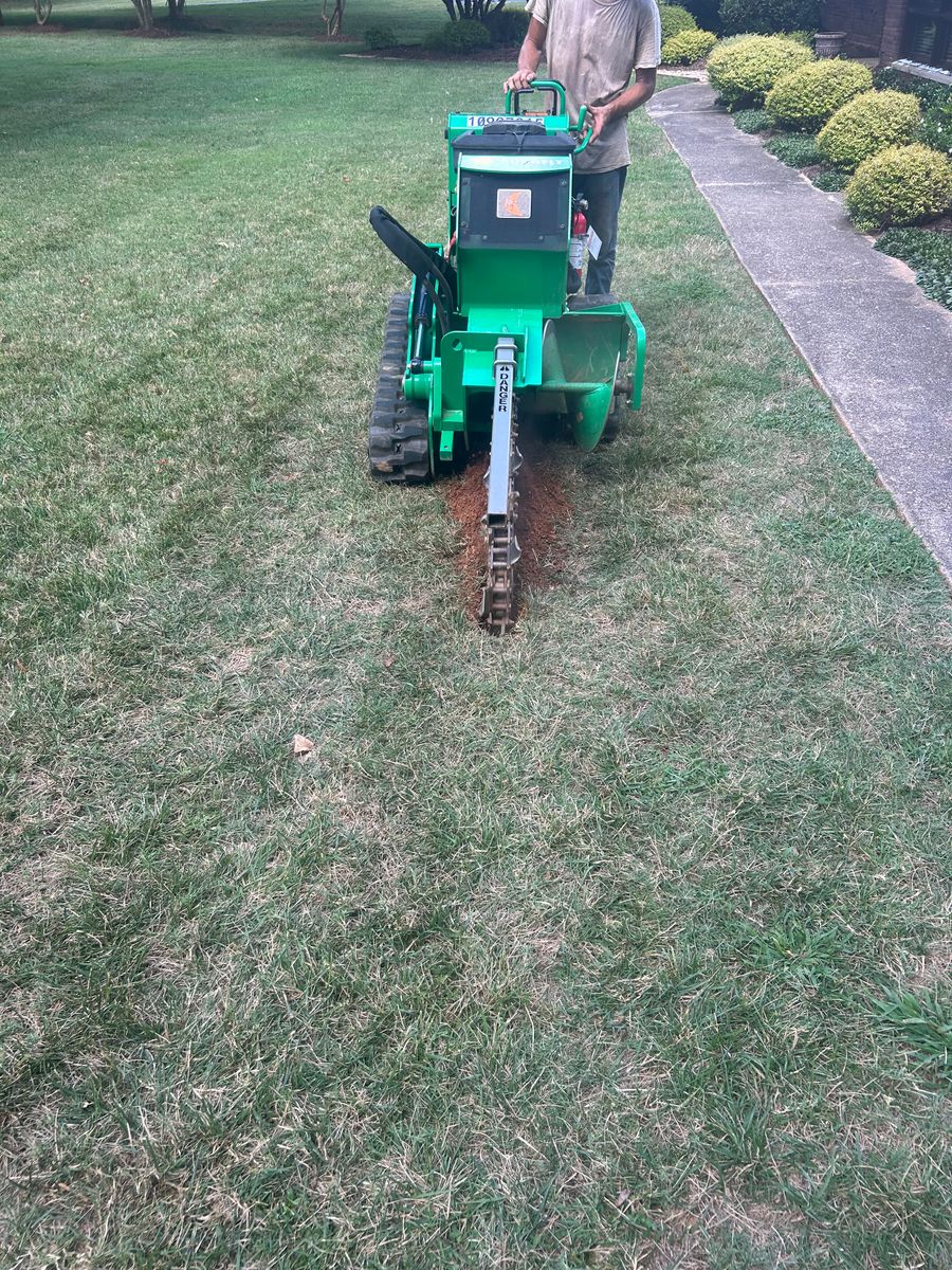 Stump Removal for Oakhurst Landscaping and Tree Service in Charlotte, NC