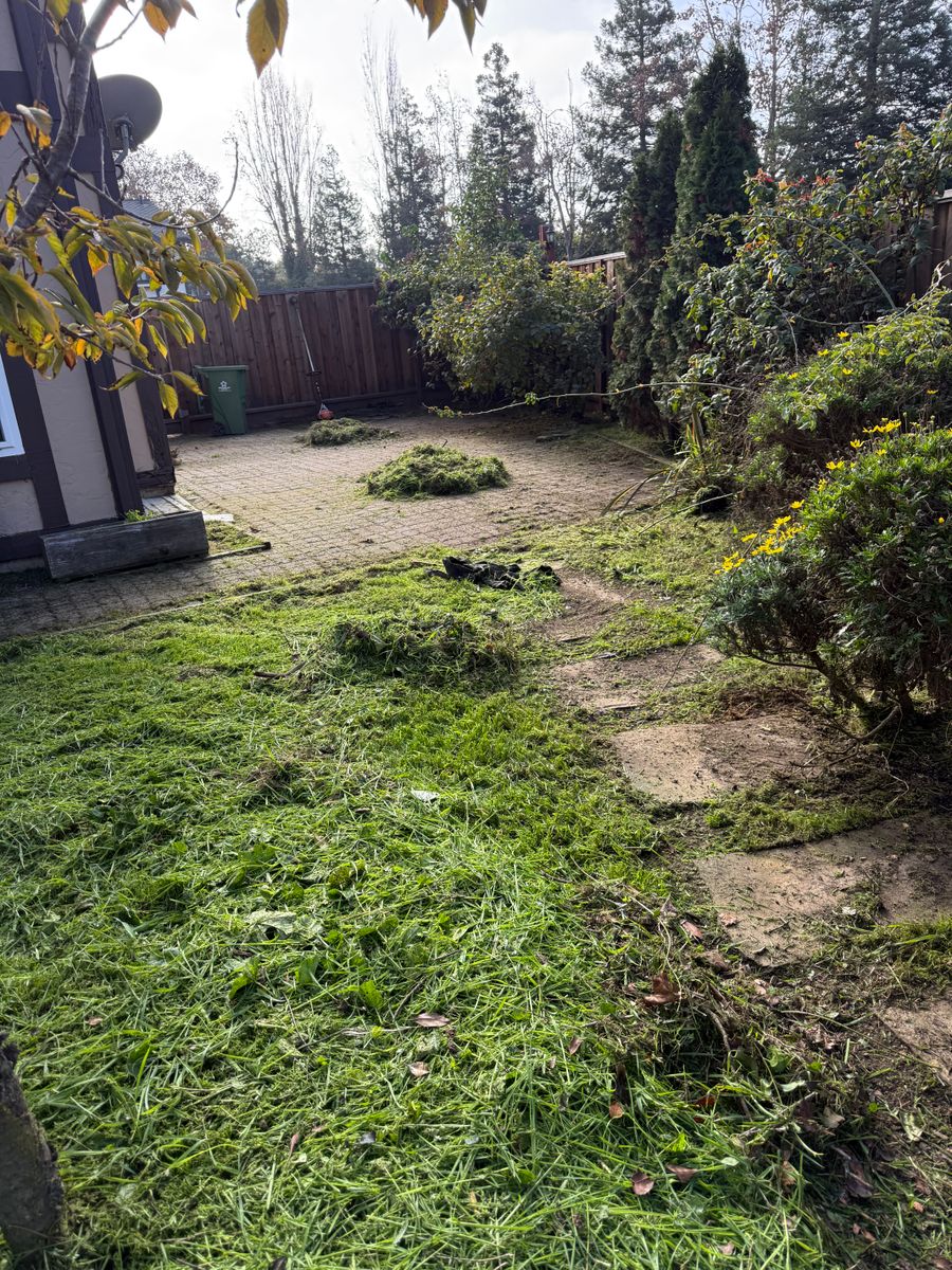 Landscaping for CBA Landscaping in Hayward, CA