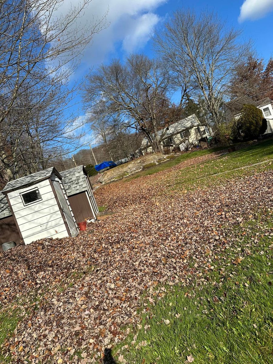 Fall Clean Up for Lopez Landscaping and Hardscapes in Scranton, PA