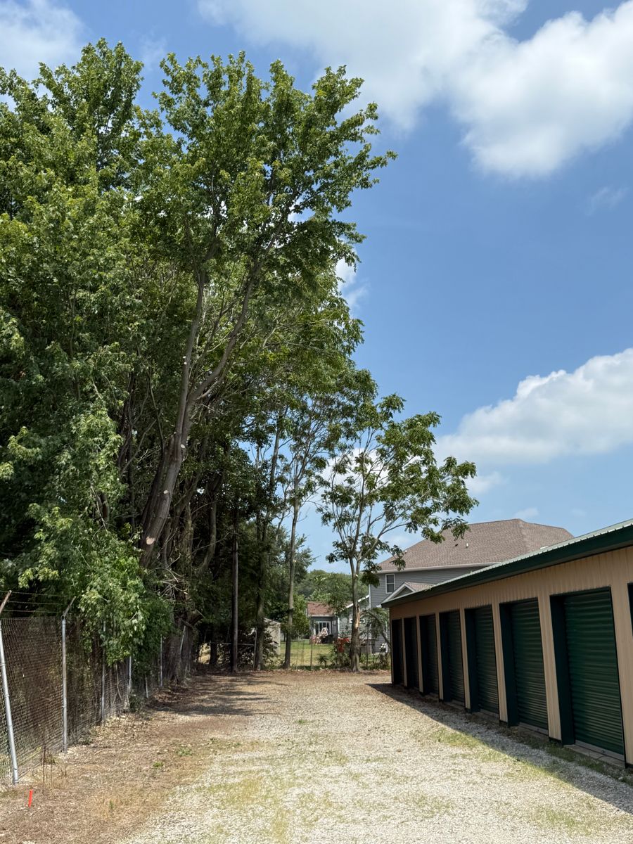 Tree Trimming for Hunnicutt’s Tree Service L.L.C. in Monticello, IN