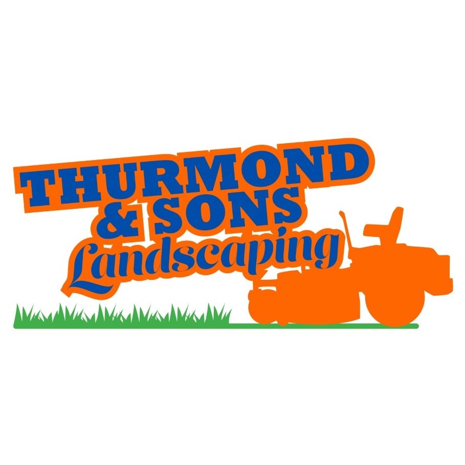 Debris /Junk Removal for Thurmond & Sons Landscaping  in Montverde, FL