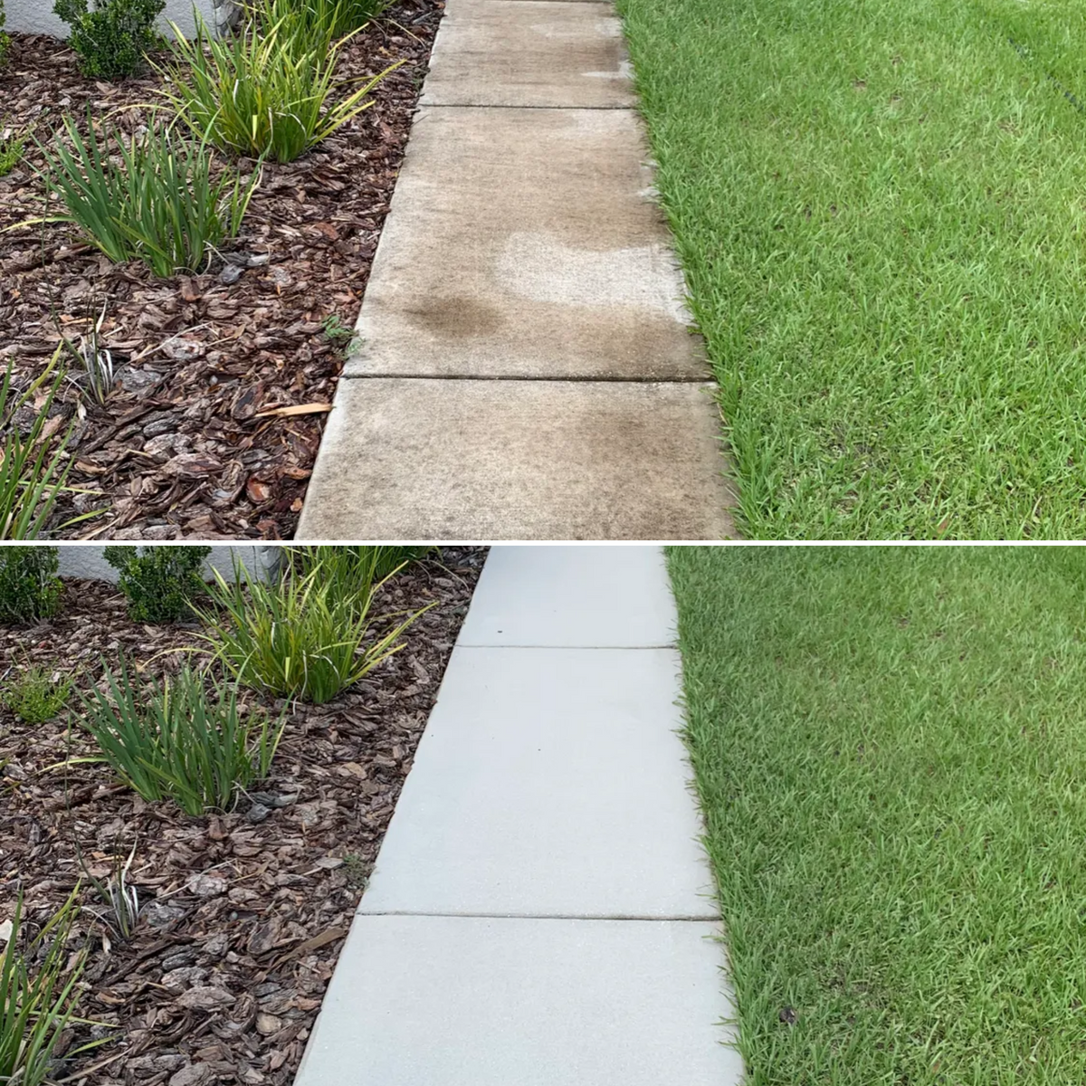 Concrete Cleaning for Zachs Pressure Washing  in Tampa, FL