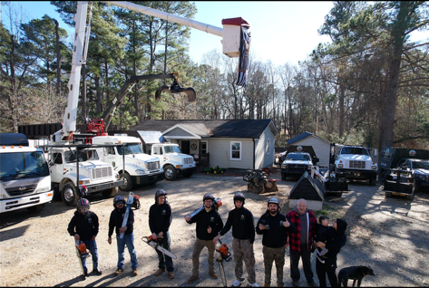 Tree Removal for AB Tree Service in Raleigh, NC