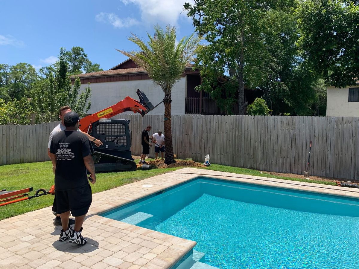 Palm Tree Installation for Poarch Creek Landscaping in Santa Rosa Beach, FL