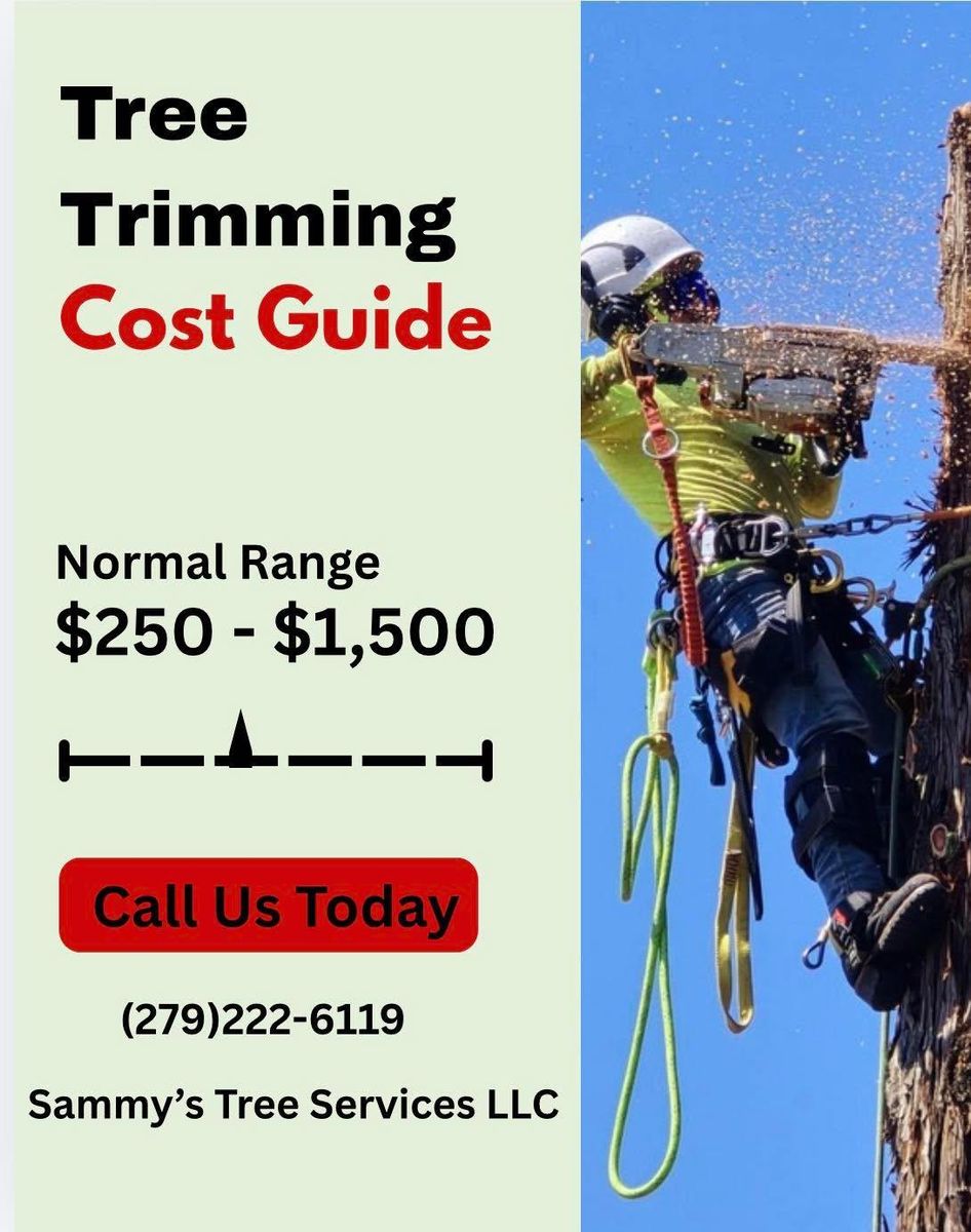 Tree Trimming for Sammy's Tree Services in Sacramento, CA