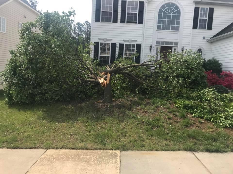 24 Storm damage for Branch Out Tree Care LLC in Fredericksburg, VA