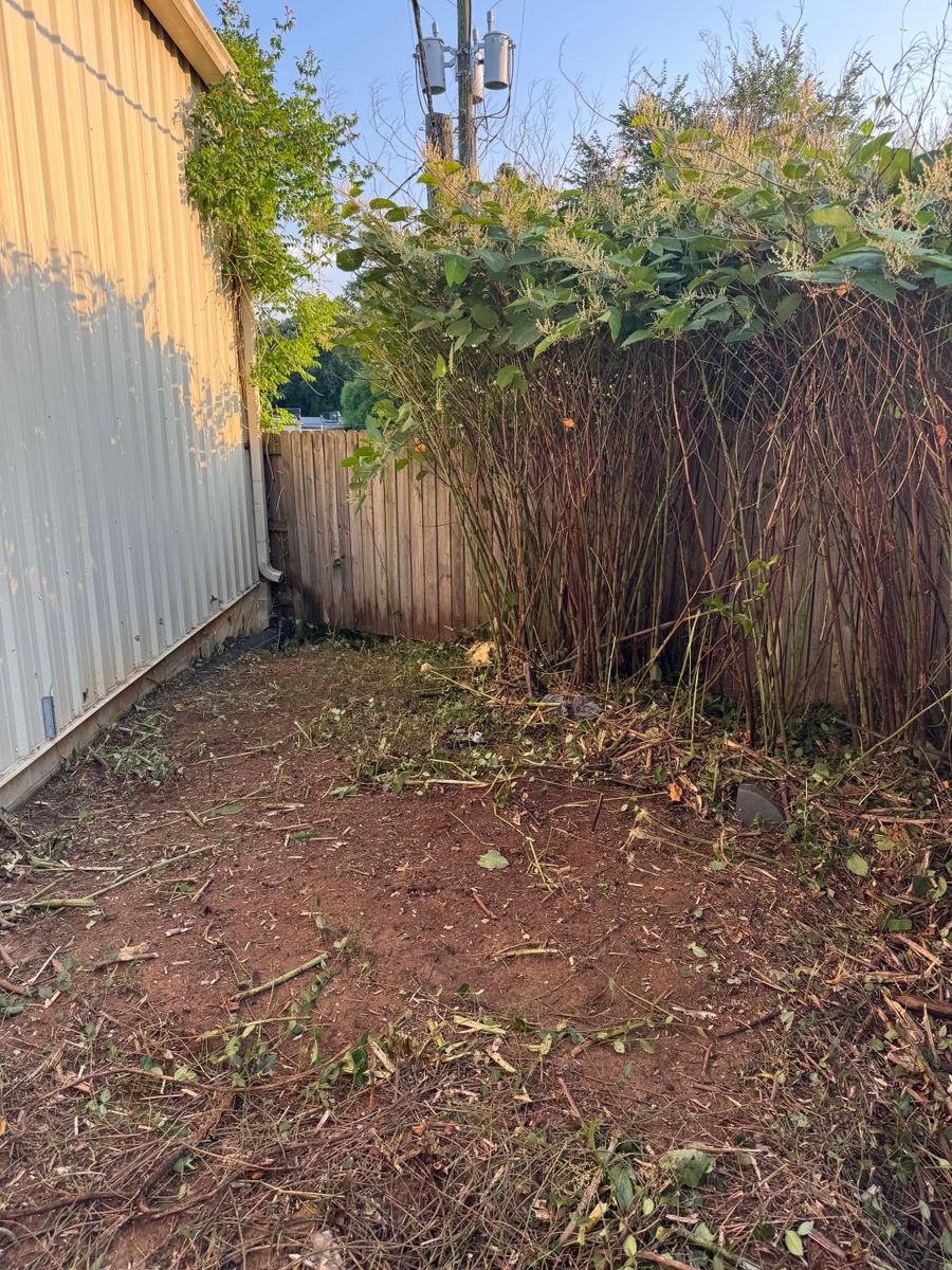 Debris Removal for Robbie's Lawn & Landscape in Richmond, VA