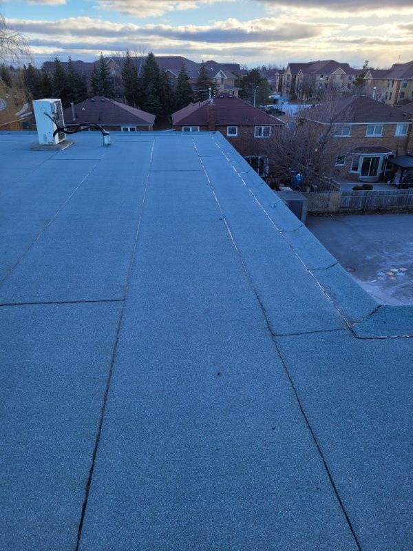 Roof Replacement for Triumph Inc - Repair & Maintenance in Scarborough, ON