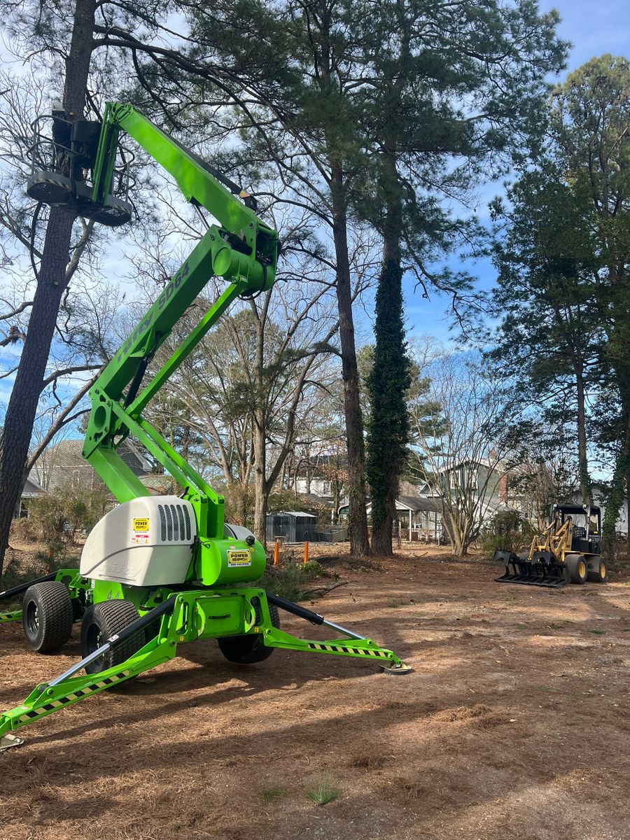 Tree Trimming for James River Tree Service in Suffolk, VA