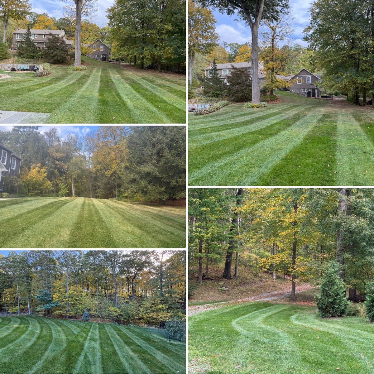 Shrub Trimming for LJ Lawn & Property Maintenance, Inc. in Cold Spring, New York