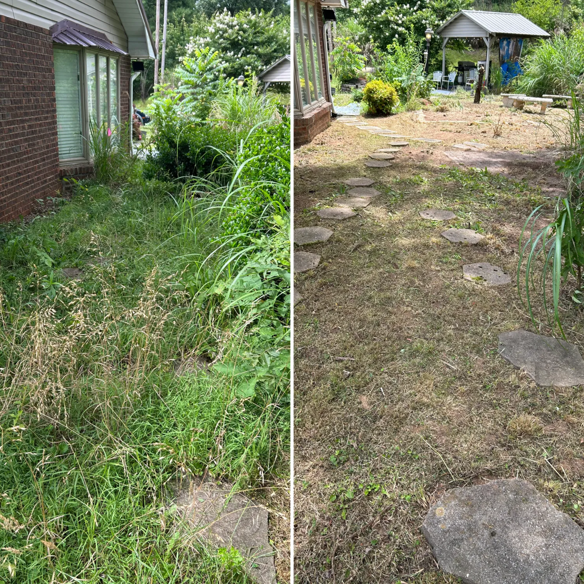 Fall Clean Up for Gatrell Landscape & Tree Removal in Bluff City, TN