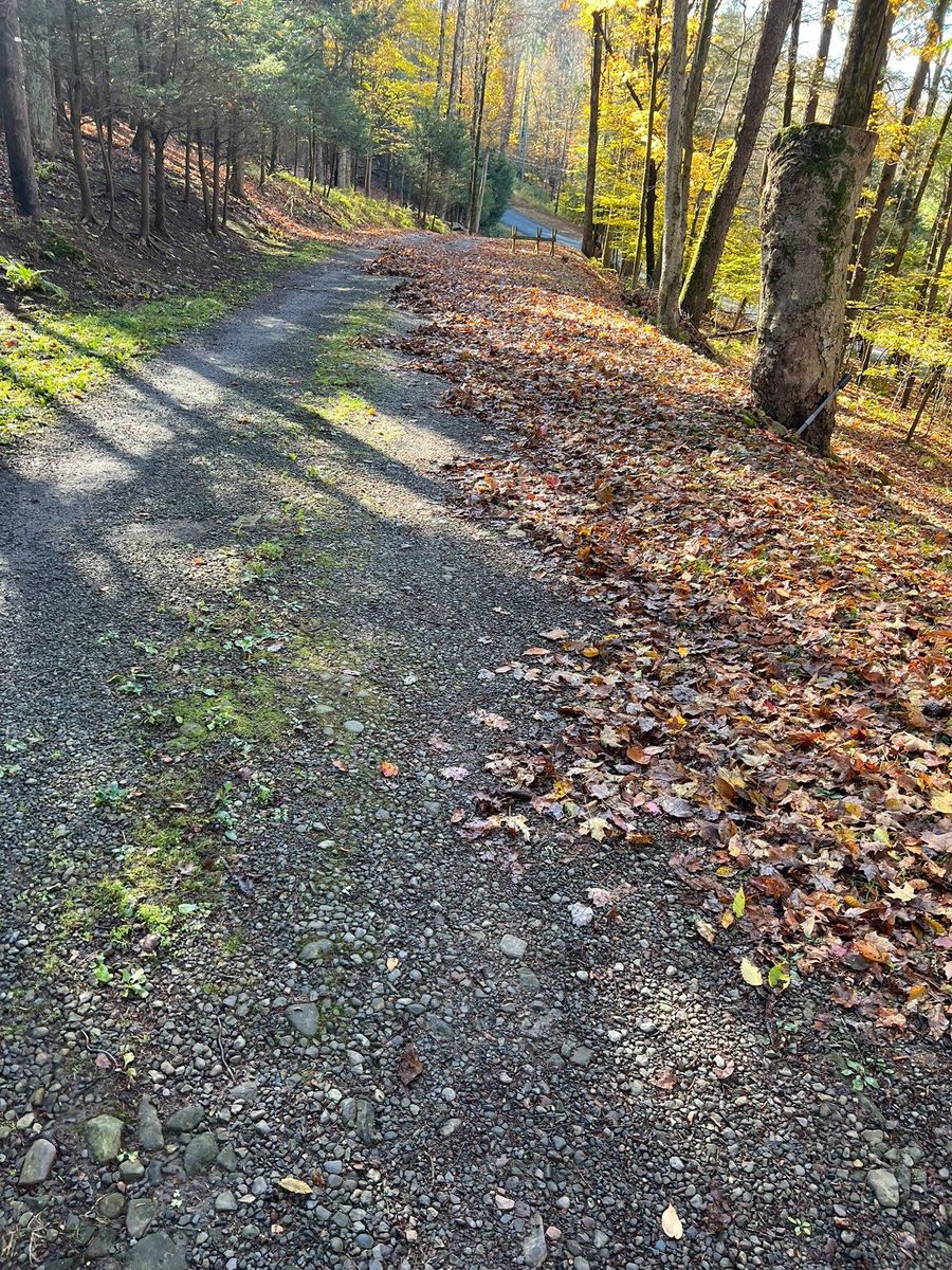 Fall Clean Up for Lopez Landscaping and Hardscapes in Scranton, PA