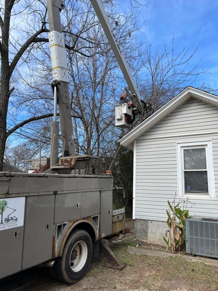 Tree Removal for R&P Tree Service LLC in Greenville, South Carolina