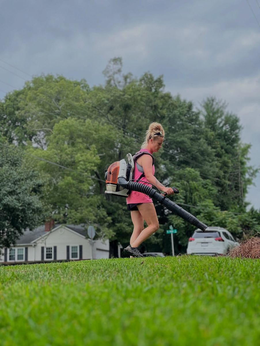 Tree services, Hedge Trimming, and Flower Services for Massey Landscaping in Gastonia, NC