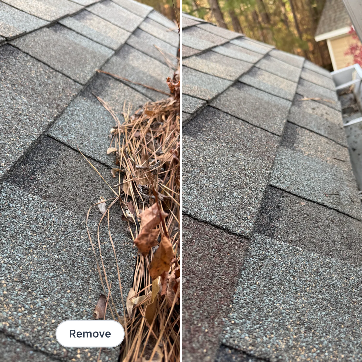 Roof washing  for Paul's Lawn Care and Pressure Washing in Wilson, NC