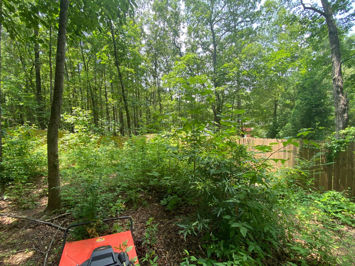 Brush Cutting & Removal for Deeply Rooted Lawn Installations - Sod Installation & Hydroseeding Services in Winder, GA