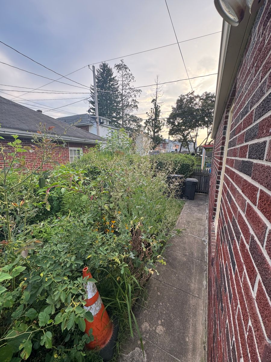 Seasonal Clean Up for Landscape & Lawn Care Pros in Temple, PA