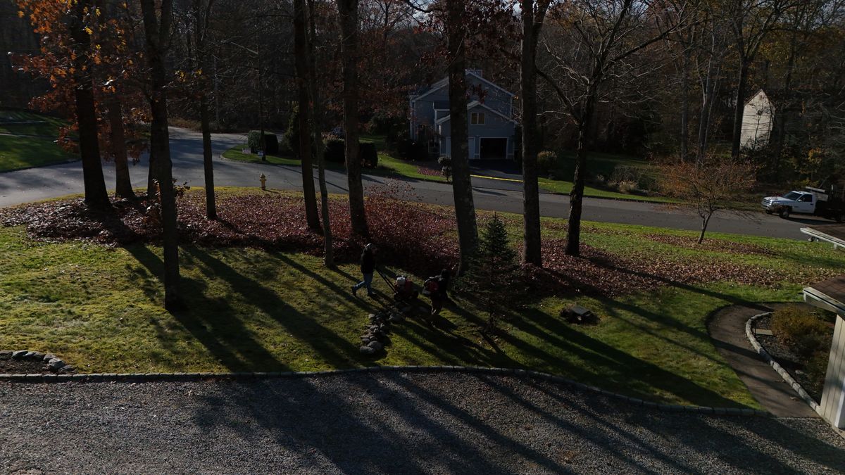 Fall Clean ups & Curbside Leaf Removal for Ace Landscaping in Trumbull, CT