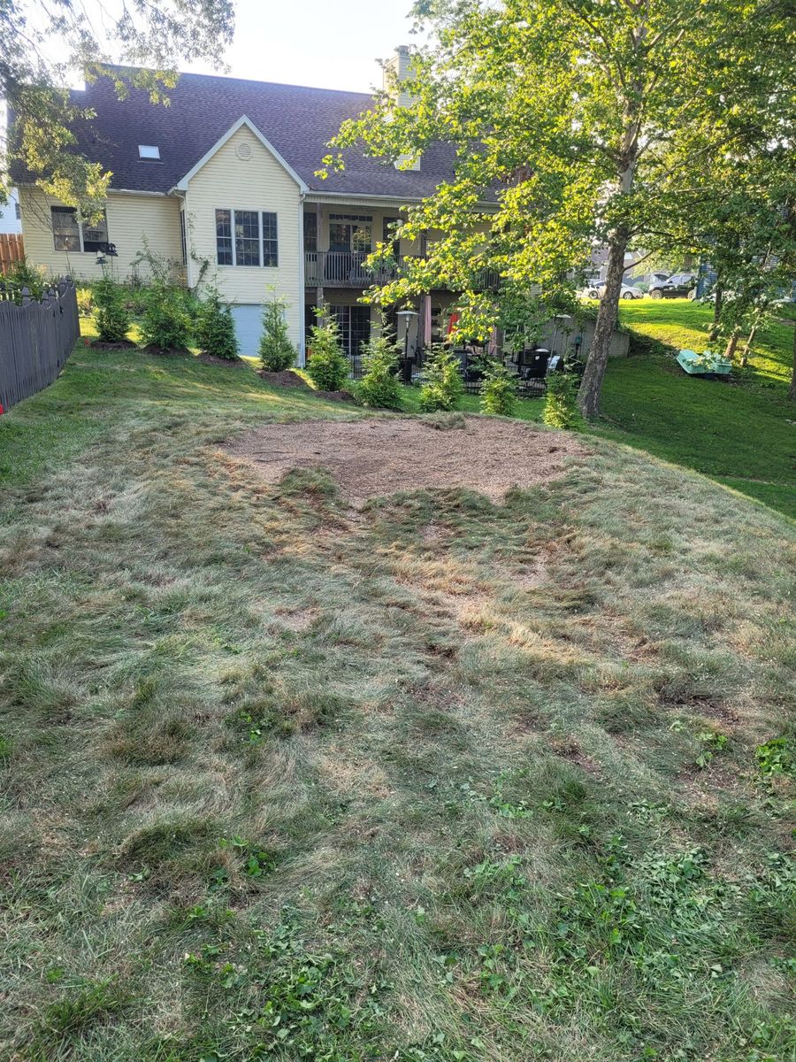 Tree Removal for Advanced Tree Solutions in Rockville, IN