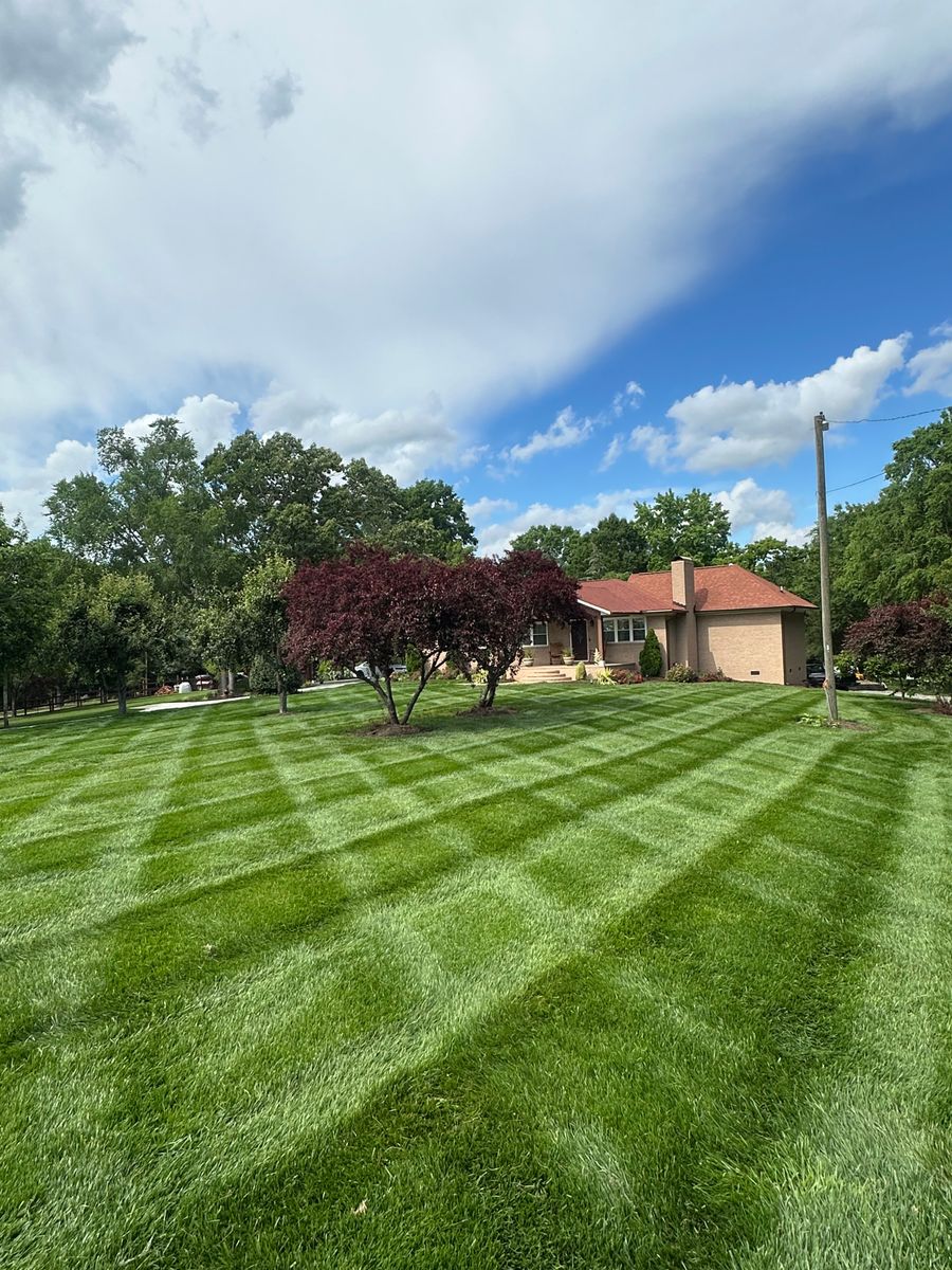 Mowing for Pecina Pine Needles in Monroe, NC