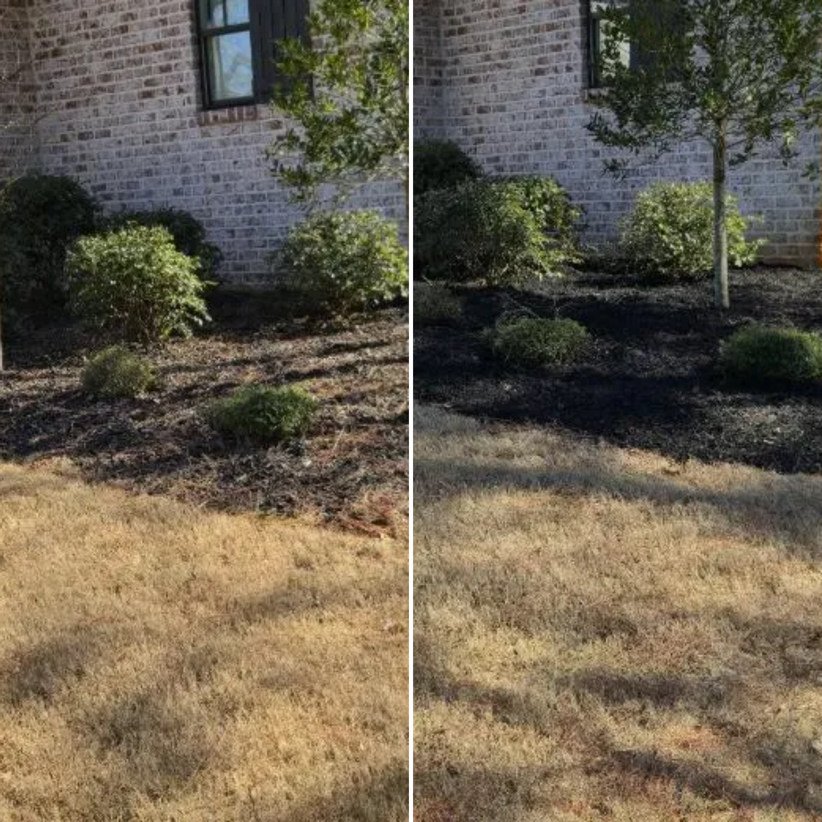 Mulch Installation for Fresh Cut Yard & Lawn Care LLC in Forsyth, GA