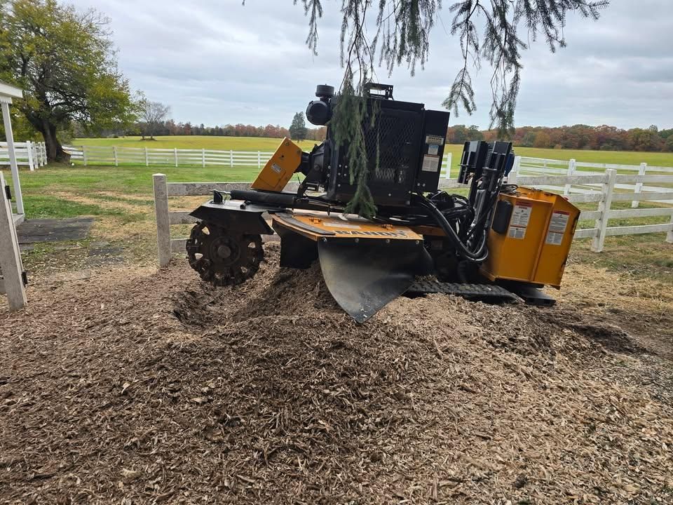 Stump Removal for W D Giampa Lawns and Landscape Inc. in Manassas, VA