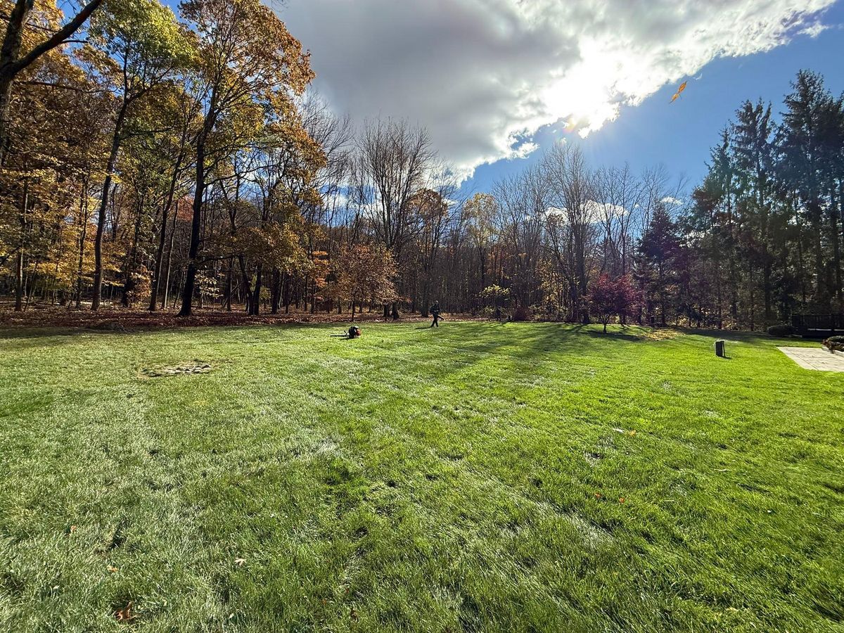 Fall & Spring Maintenance for Ardisi Property Maintenance LLC in Poughkeepsie, NY 