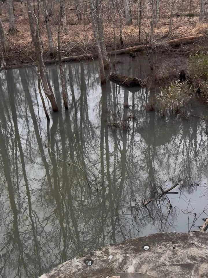 Stormwater Drainage Management for Fayette Property Solutions in Fayetteville, GA