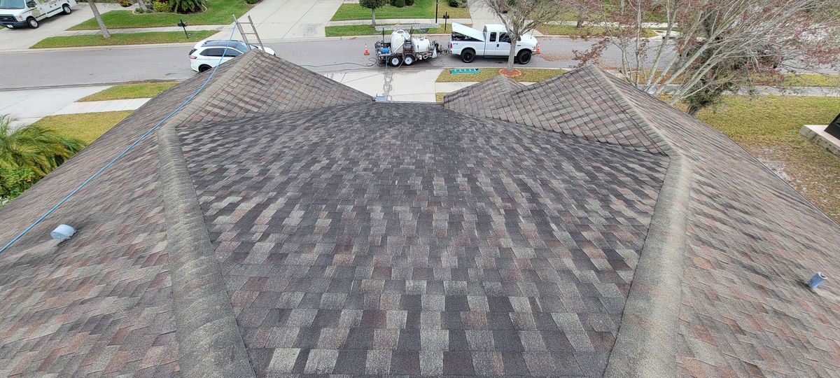 Shingle Roof Cleaning for Blue Stream Roof Cleaning & Pressure Washing in Tampa, FL