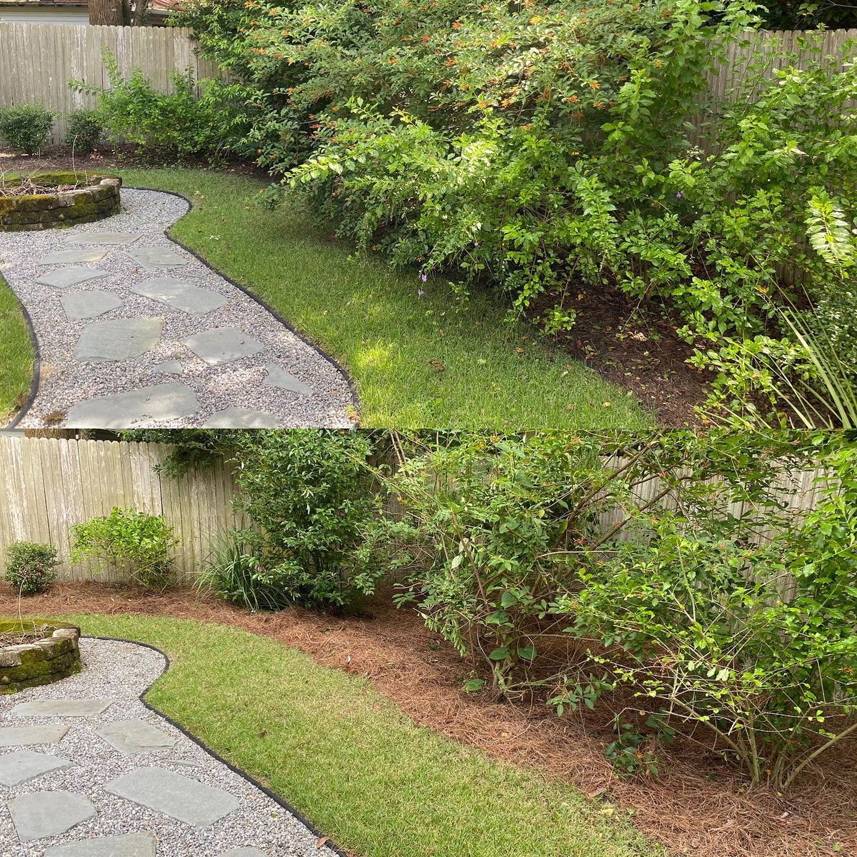 Landscape & Property Cleanup for Kings Legacy Services in Gainesville ,  FL