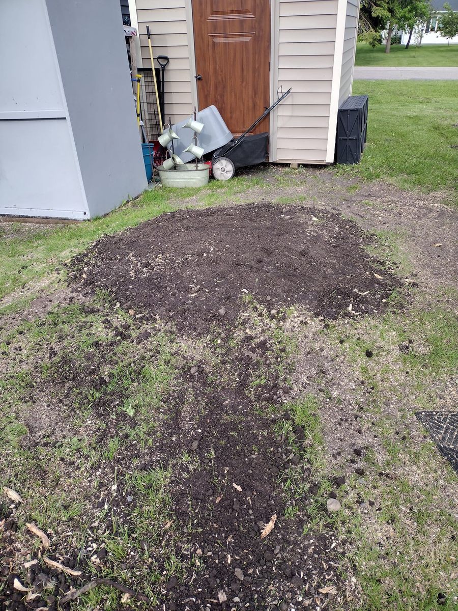 Stump Removal for Dan's tree service in Bemidji, MN