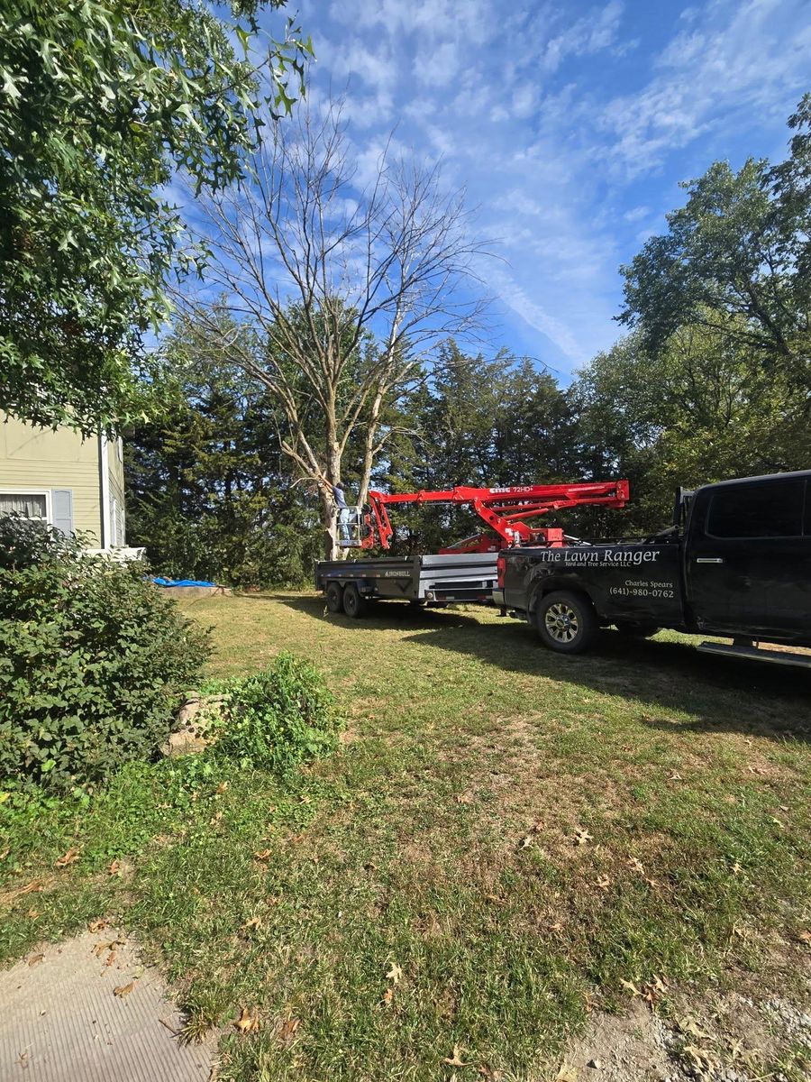 Tree Removal for Lawn Ranger Yard And Tree Service LLC in Ottumwa, IA