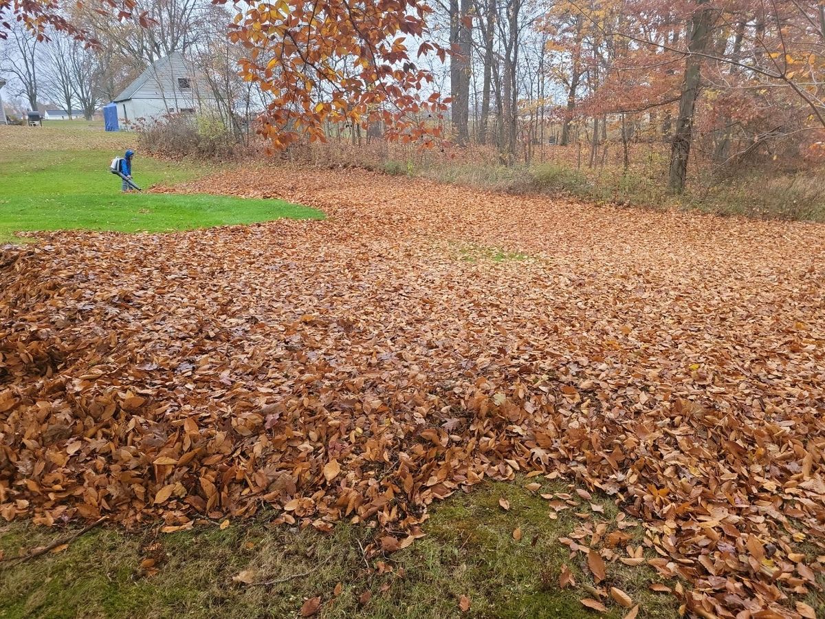 Leaf Removal for A&A Lawnworks in Maximo, OH