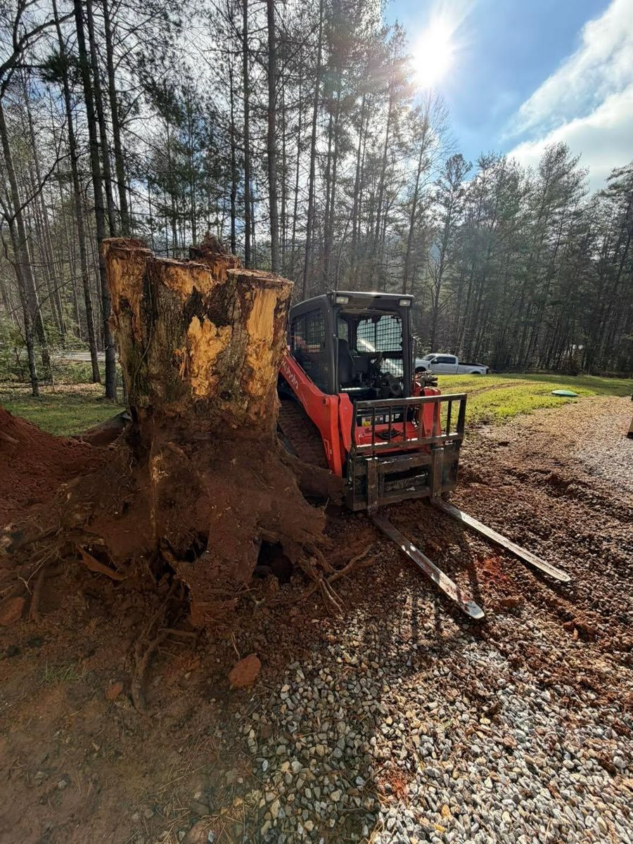 Tree Removal for C & D Landscaping Services, LLC in Blairsville, GA