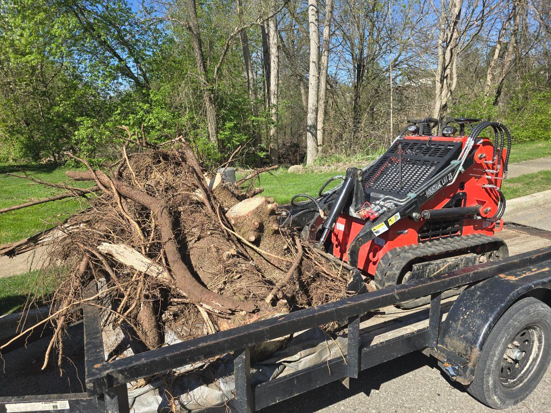 Lot Clearing for D Hale Tree Service in Ann Arbor, MI