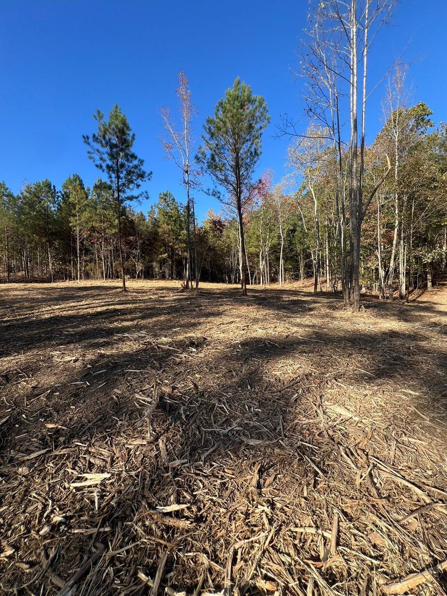 Land Clearing for Southern Roots Services in Carrollton, GA