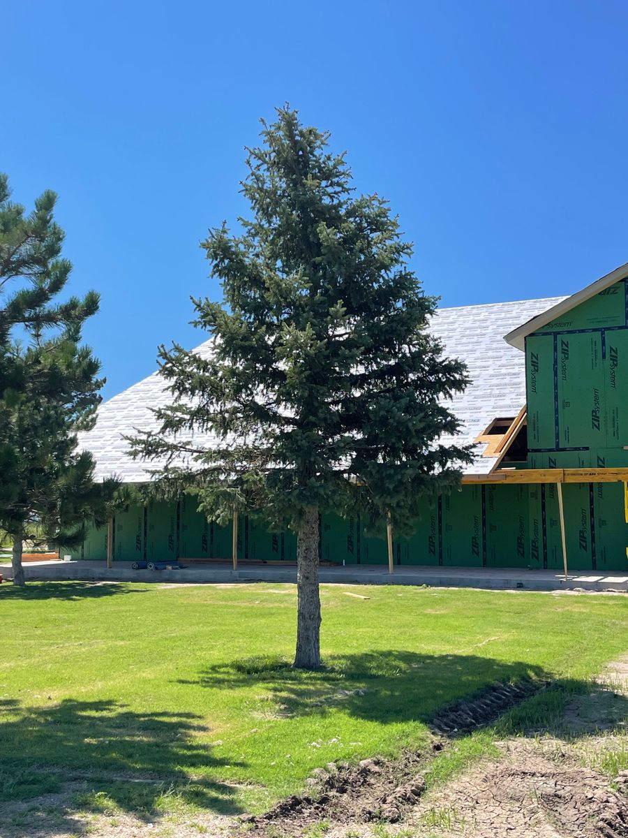 Tree Installations for R&J Hydromulch in Booker, TX