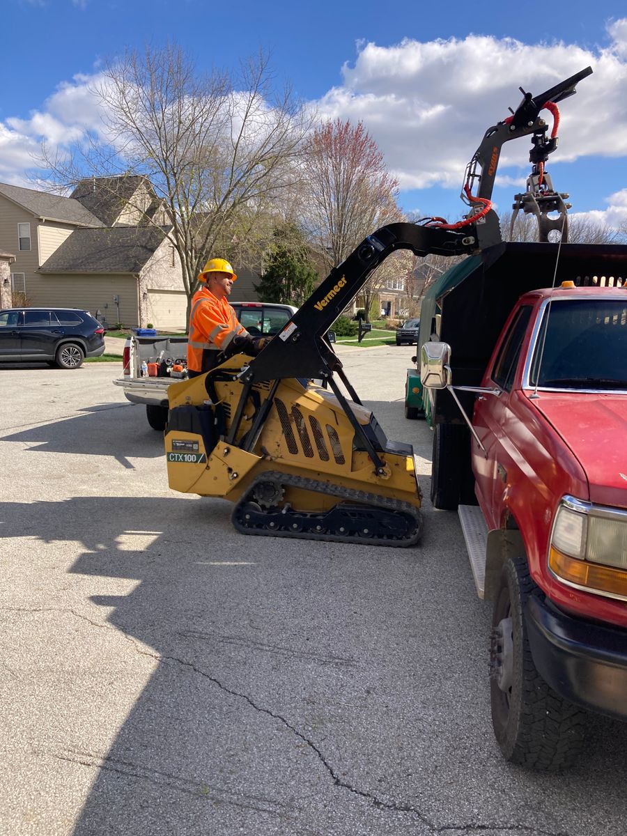 Tree Removal for Village Tree Service  in Whitestown, IN