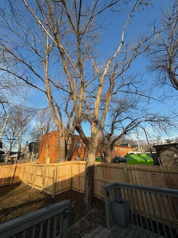 Tree Trimming for Cross Family Tree Service in Kearney, MO
