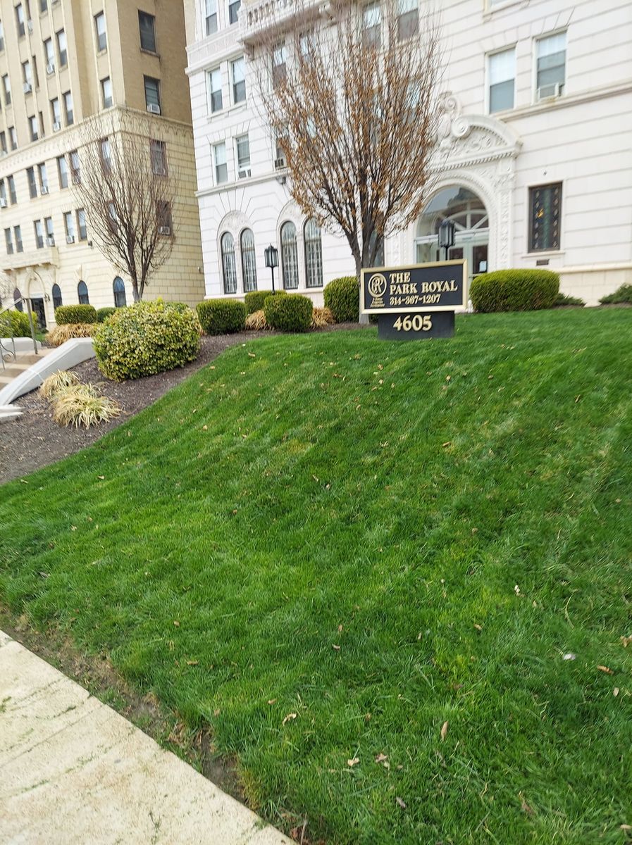 Lawn Aeration for Contemporary Landscape in St. Louis, MO