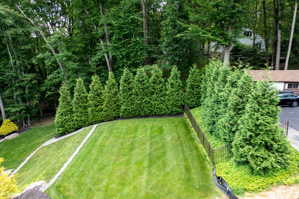 Premium Landscape Maintenance for  in Morristown, NJ