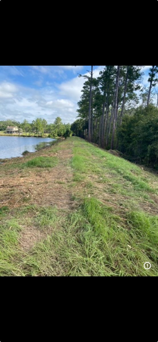 Forestry mulching for Bay Hill Development in Nahunta, GA