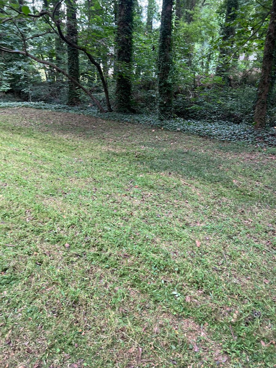 Mowing for Williams Brothers Landscaping & Construction in Atlanta, GA
