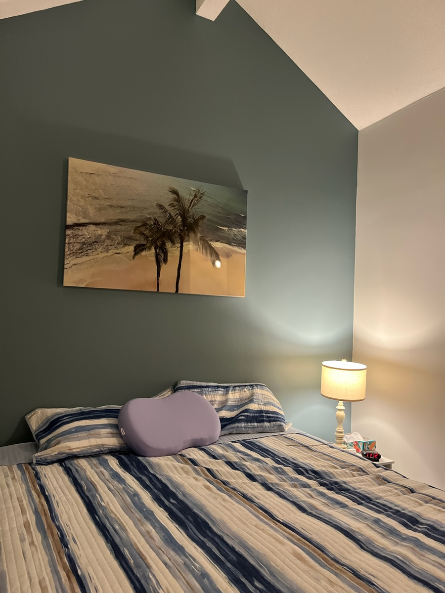 Interior Painting for Ain't Just Paint Divas in Fort Mill, South Carolina