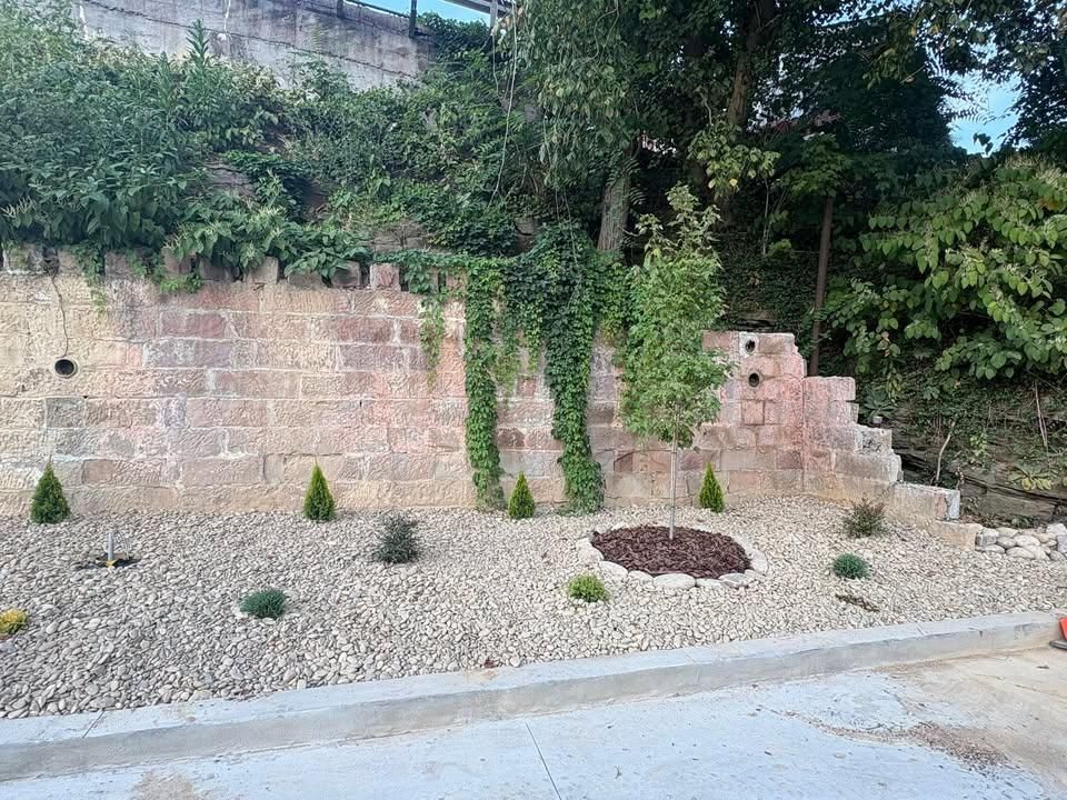 Shrub Trimming for Dust Till Dawn Lawn in London, Kentucky