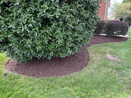 Shrub Trimming for Ridgewood Lawn Care LLC in Fredericksburg, VA