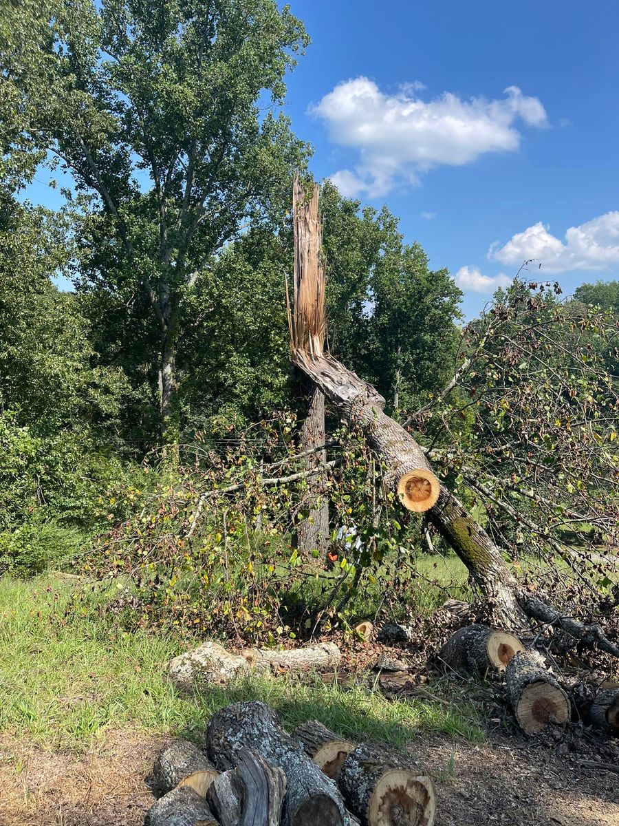 Storm Damage Clean Up for Cassidy Tree Care in Santa Fe, TN