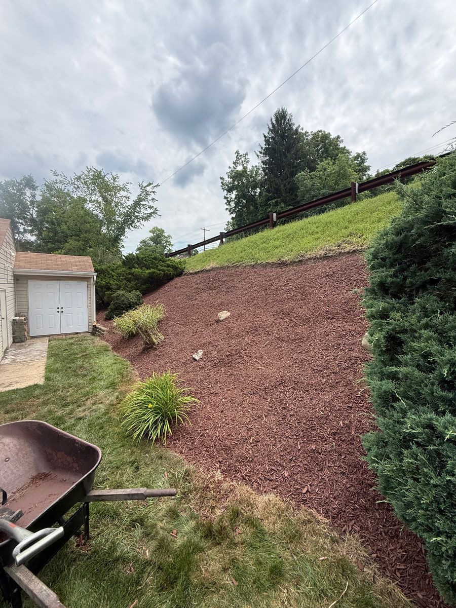 Yard Renovations for Wilder Landscaping Services in South Park, PA